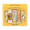【Flash Sale + Free Shipping】Burt's Bees 5 Trial Size Essential Kit Gift Set - Deep Cleansing Cream, Hand Salve, Body Lotion, Foot Cream & Lip Balm