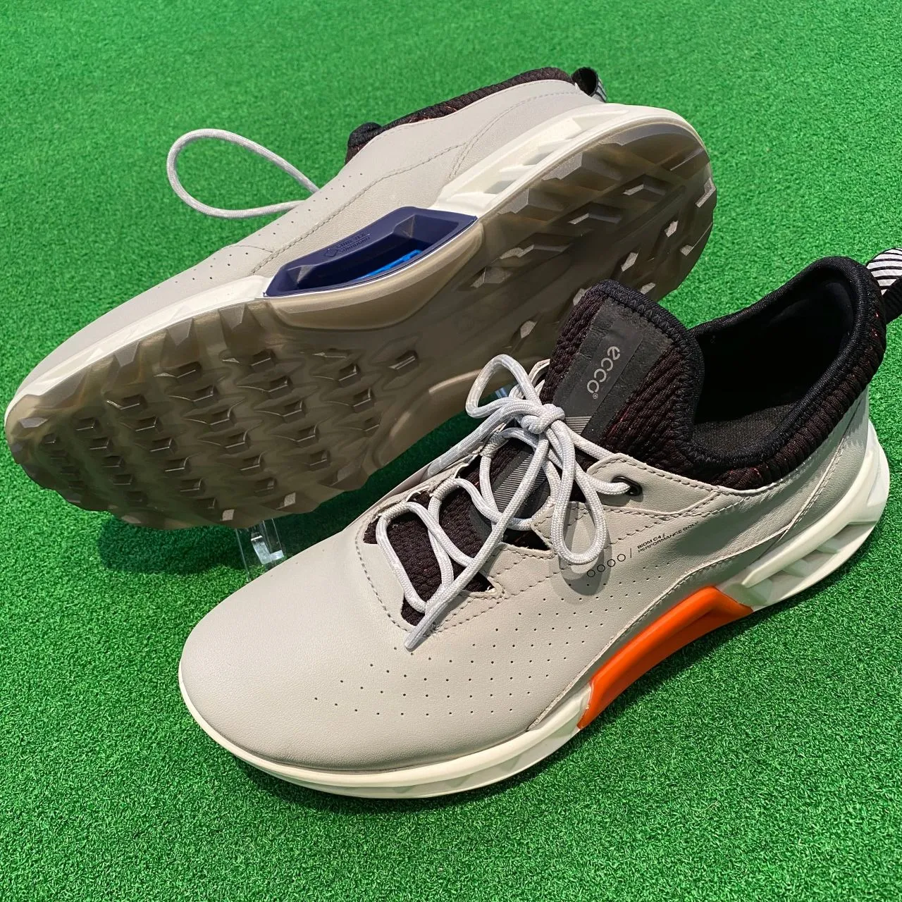 b51262f18c6377667186f8ba24d00f9d_1800x